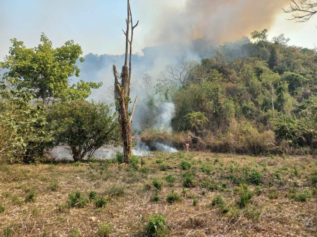 INCENDIOS