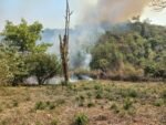 INCENDIOS