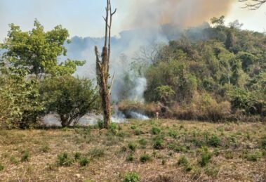 INCENDIOS