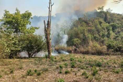 INCENDIOS