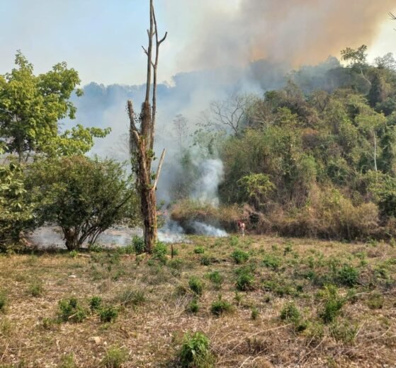 INCENDIOS