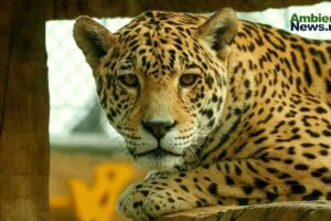1.Zoologicos y acuario
