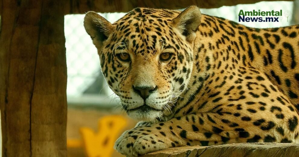 1.Zoologicos y acuario