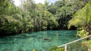 10 avances ambientales