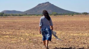 Defensoras ambientales