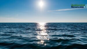 2.Los oceanos al limite