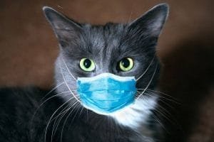 65J44BW5CNDU3DVDO5ZYHI22TM