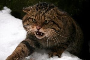 CWPXJGWUMBABVNNGDRNN5XS7DY