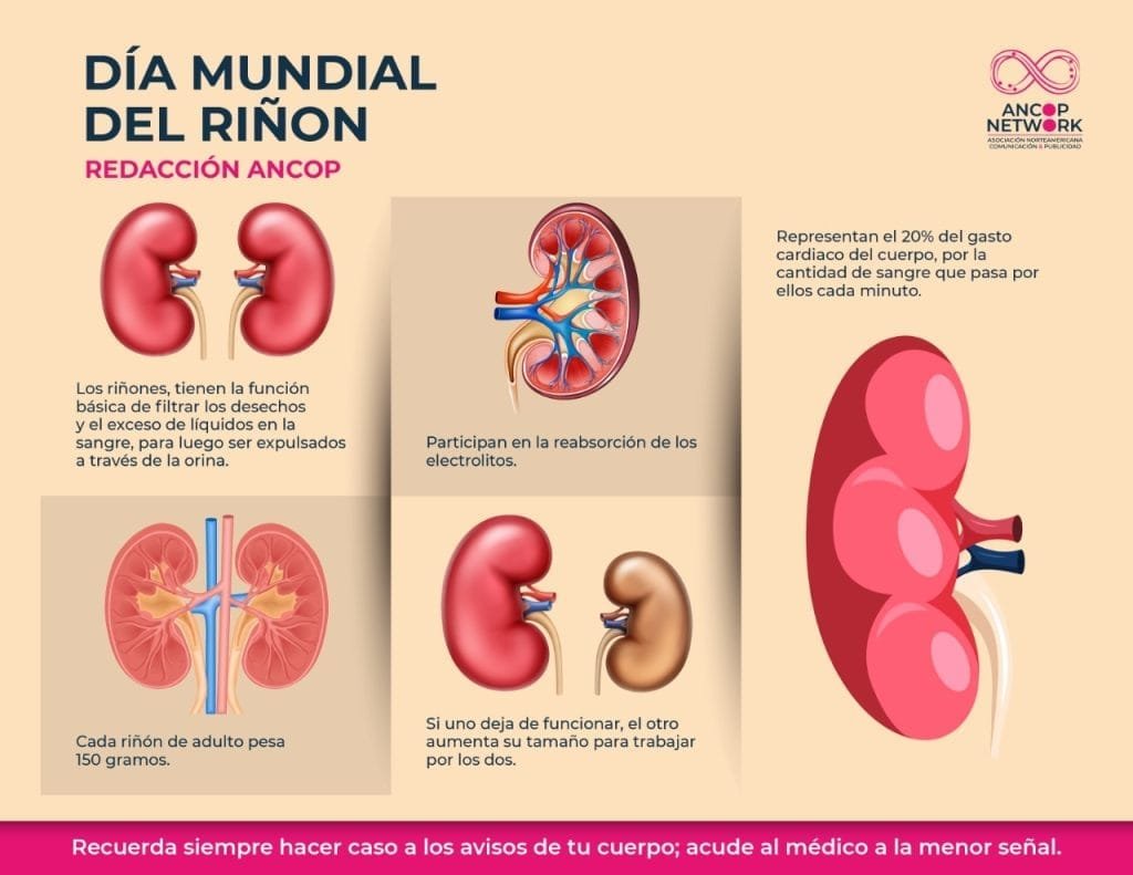 DIA MUNDIAL DEL RINON