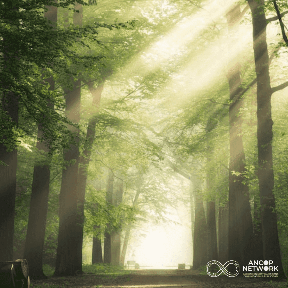 DÍA DEL CONSUMIDOR 2 1