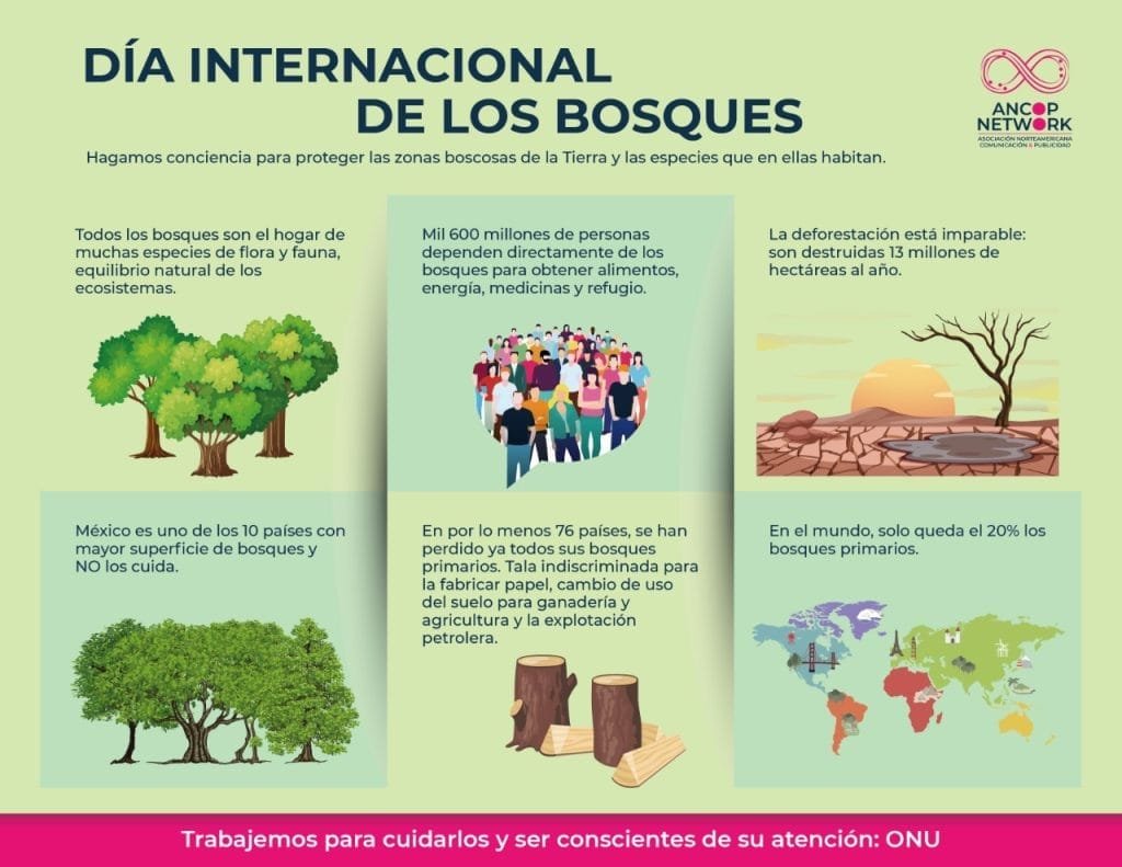 Día Internacional de los bosques