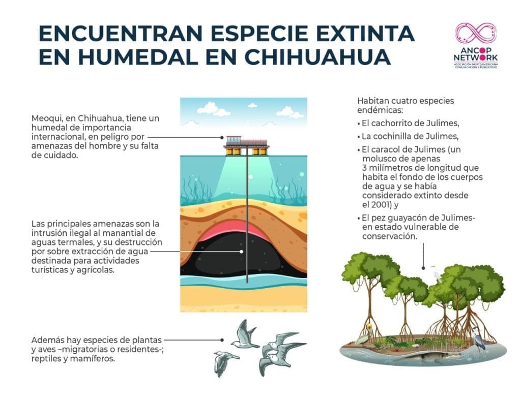 Humedal en Chihuahua