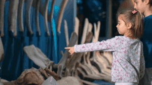 MEXICO vs USA 1024 × 1024 px 2