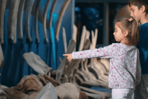 MEXICO vs USA 1024 × 1024 px 2