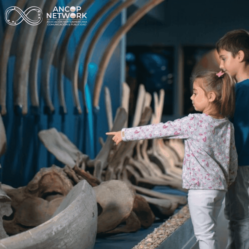 MEXICO vs USA 1024 × 1024 px 2