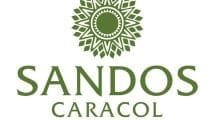 Re Branding Sandos Caracol VERT min