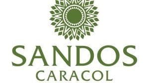 Re Branding Sandos Caracol VERT min