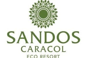 Re Branding Sandos Caracol VERT min