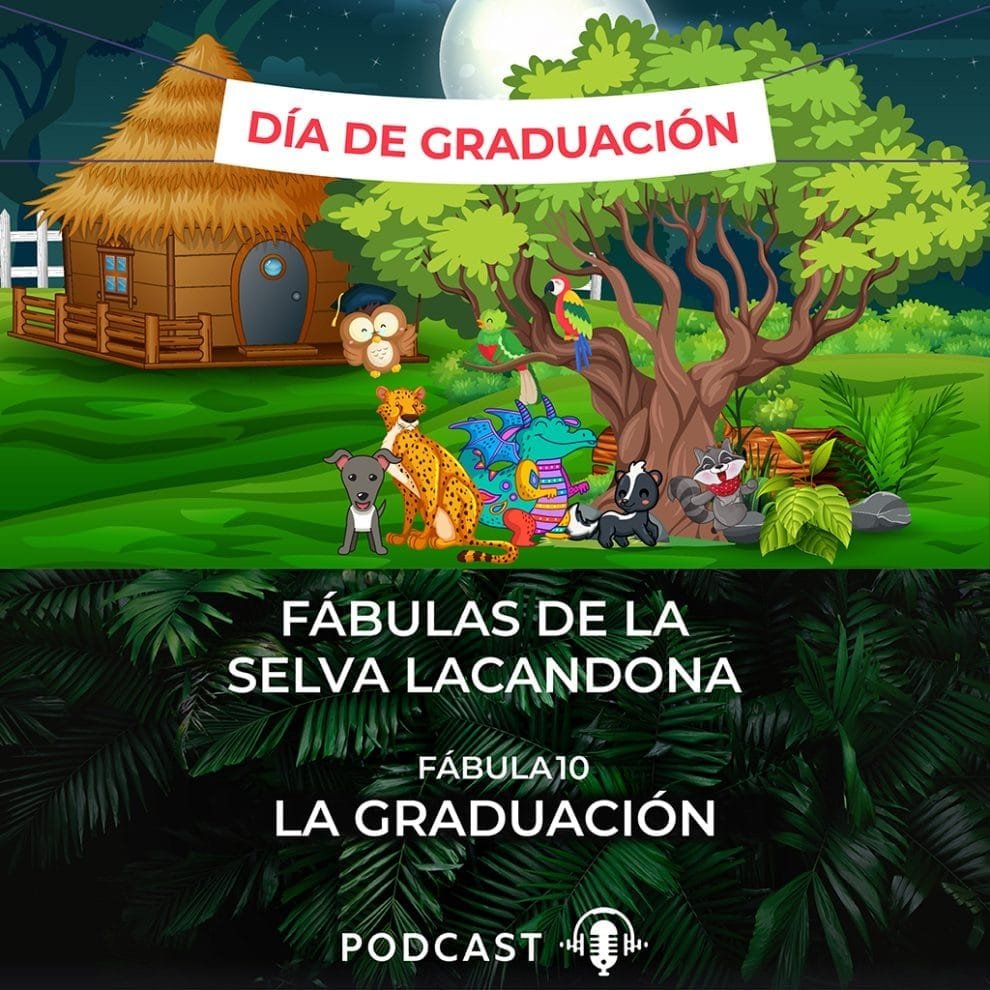 Selva Lacandona 102415