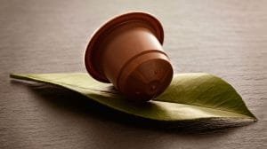 cafe etico capsula biodegradable espresso