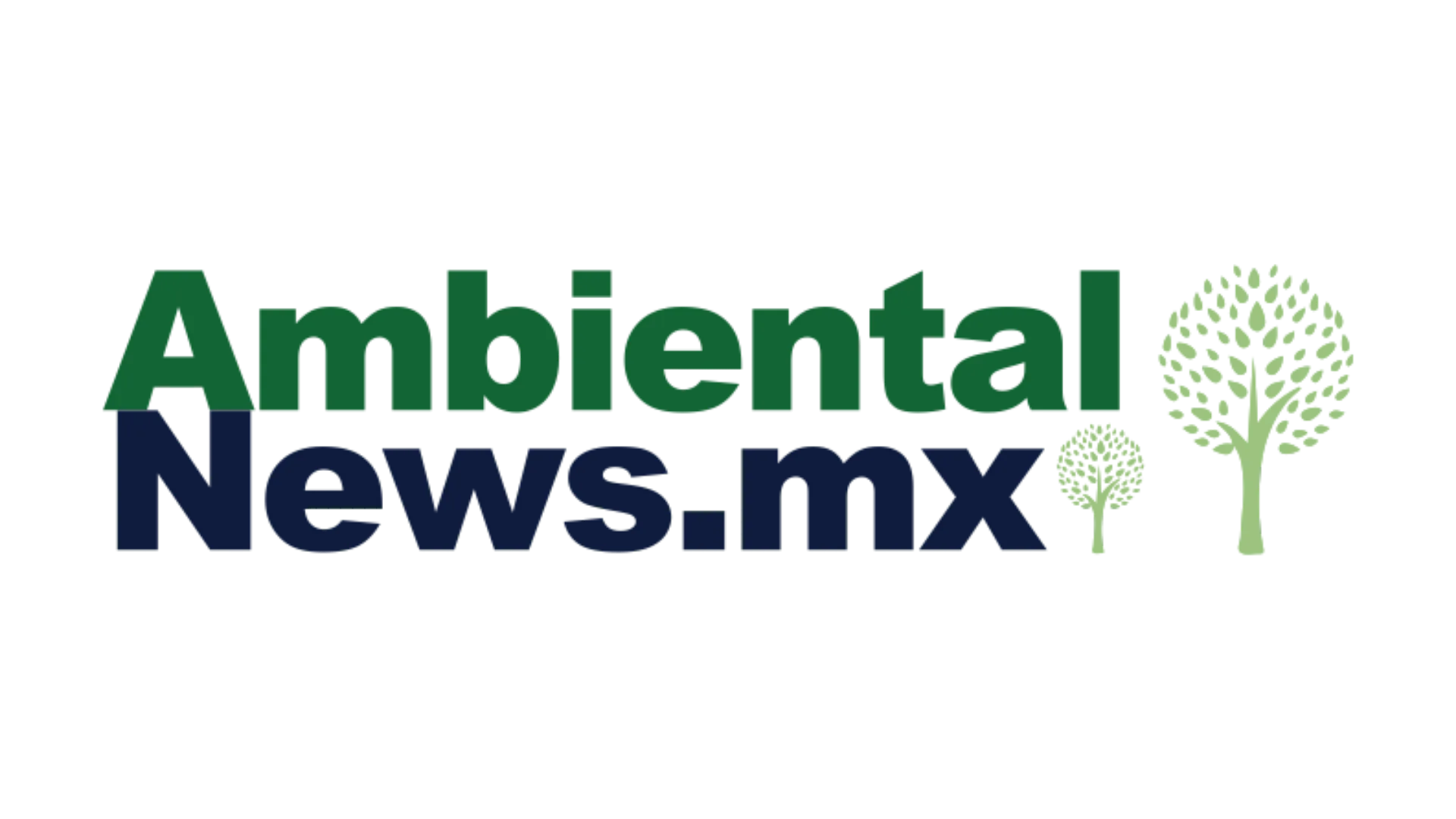 Ambiental News