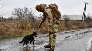 1645791463 201058 1645793121 album normal