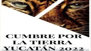 6354d3 bed291f4311f4344929ee6940475f4be mv2