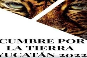 6354d3 bed291f4311f4344929ee6940475f4be mv2