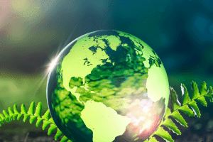 Dia de la Madre Tierra