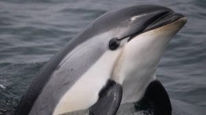 GL546JTGPREKNK3ESTJ4ZSO2RY