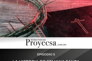 Proyecsa 1024 semana santa