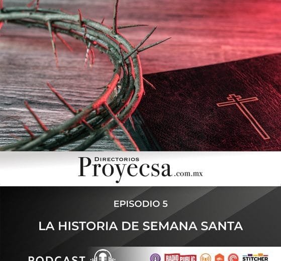 Proyecsa 1024 semana santa