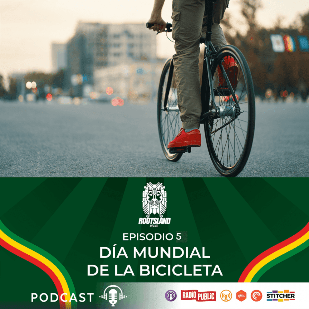 Episodio 1: DÍA MUNDIAL DE LA BICICLETA 10 ROOTSLAND 5 1024 × 1024 px