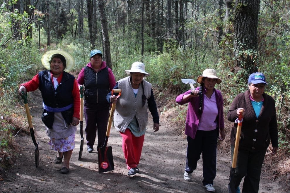 TLAXCALA PSA Acxotla del Monte 2