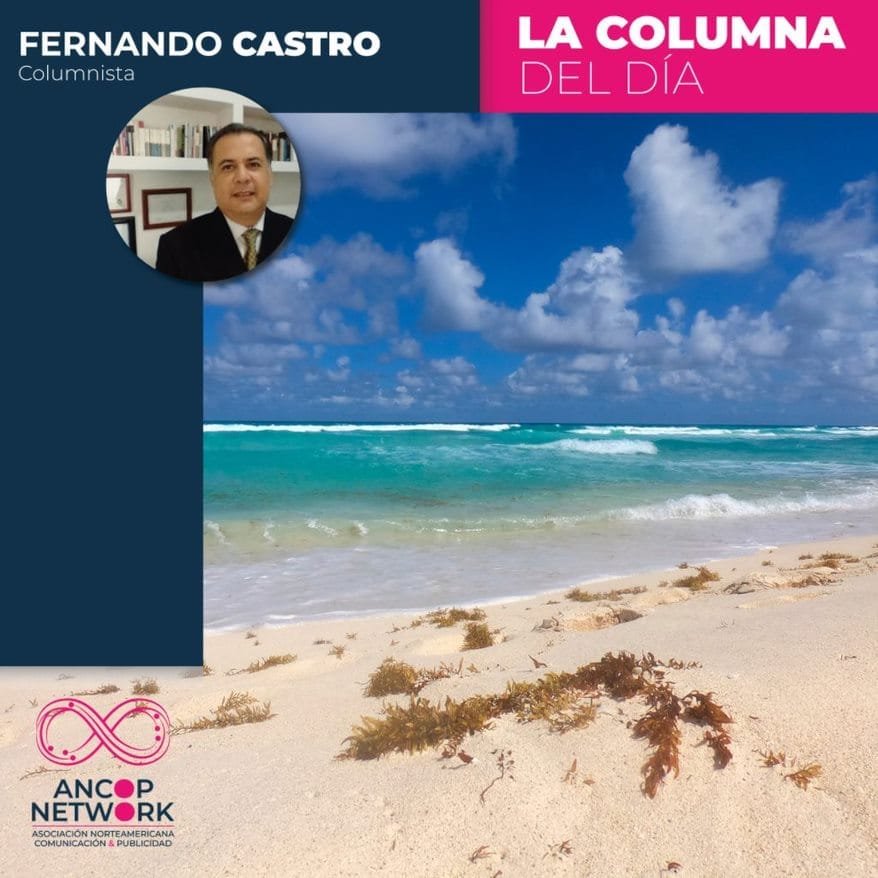 El Sargazo se hace presente en la Riviera Maya en esta Semana Santa 10 el sargazo