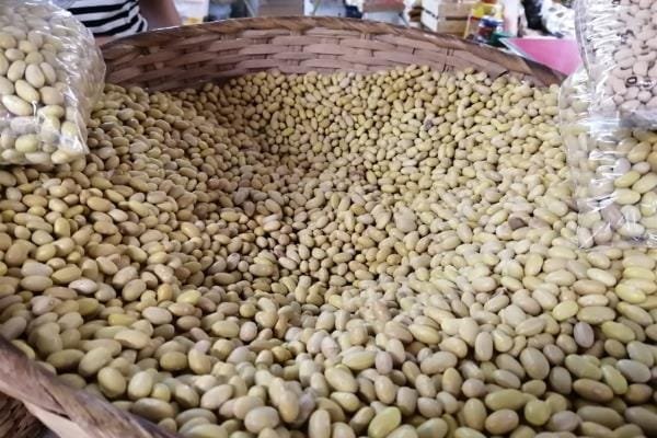 ABREN ADQUISICIÓN DE SEMILLA CERTIFICADA DE FRIJOL 10 fri