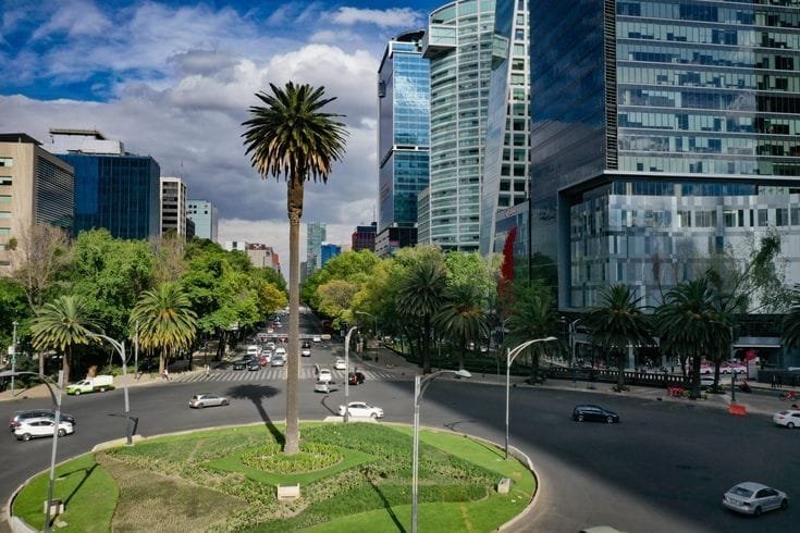 Retiran palma de la Glorieta de la Palma 10 glorieta palma