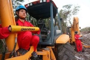 greenpeacellamaasuspenderobrasdeltrencb3228ba focus 0 0 696 423