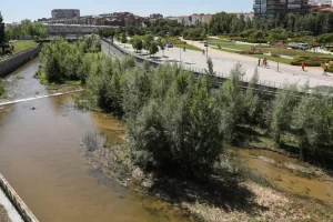 madrid rio manzanares ayuntamiento.jpg