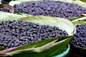 que es el acai usos beneficios dieta