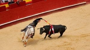 Corridas de toros min 1000x530 1
