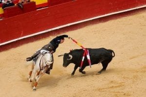 Corridas de toros min 1000x530 1