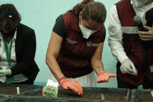 Crean escuelas de huertos en Venustiano Carranza