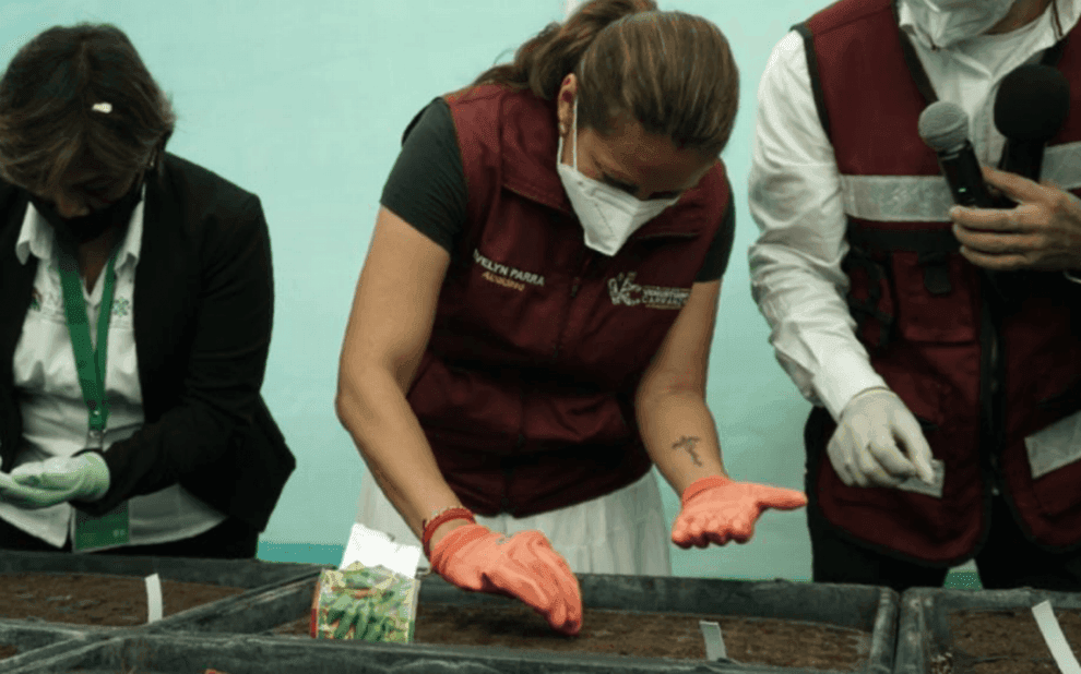 Crean escuelas de huertos en Venustiano Carranza