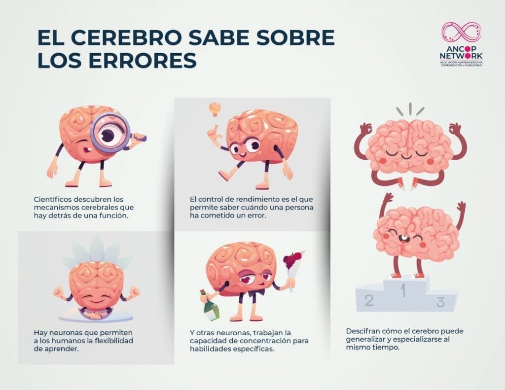 El cerebro y los errores