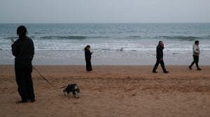 PBT5AYASGTKEPV5DVTWQVK6E4E