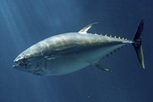 f.elconfidencial.com original 049 275 4c5 0492754c563d5358d94381f96ae3e50c