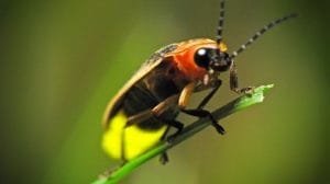 1581100852 067418 1581101176 noticia normal