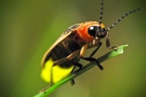 1581100852 067418 1581101176 noticia normal