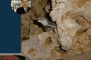 Cueva de las Serpientes Colgantes